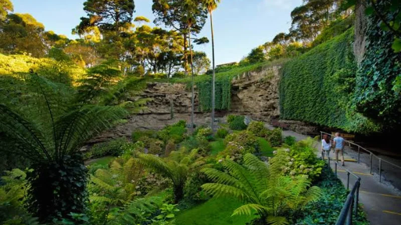 Stone steps with a handrail leading through hydrangeas and ferns in a restored sunken garden