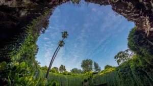 Wide view of the Umpherston Sinkhole sunken garden with stone steps and hydrangeas in Mount Gambier